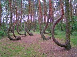 куршская коса