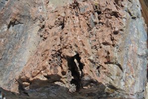 Мы в апреле во время школьных каникул поехали в заезд по Аризоне и Нью-Мексико и заезжали в этот парк тоже. Окаменелых деревьев реально очень много и их из парка выносить нельзя. Вокруг парка полно мелких лавочек полирующих и продающих эти окаменелости сопранные вокруг парка. Вот пара фоток покрупнее планом.