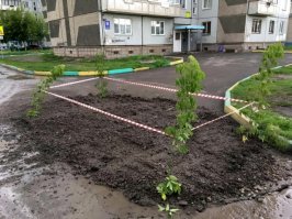 Мне одному молодую поросль жалко?