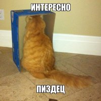 Решившая подразнить дрон девушка осталась с подмоченной репутацией 