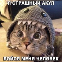 Эти забавные животные