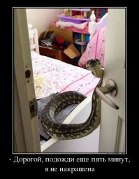 БГ. Аквариум. Песня. Слова:
У каждой женщины должна быть змея;
У каждой женщины должна быть змея;
Это больше чем ты, это больше чем я  
У каждой женщины должна быть змея