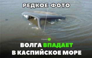 Свежая подборка демотиваторов, которые поднимут вам настроение