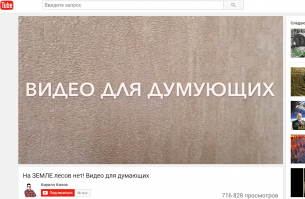 Деревья-самоцветы: как поленья становятся кристаллами