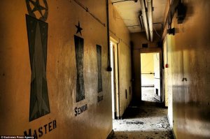 Скажите пожалуйста - о каких советских знаках различия идет речь?