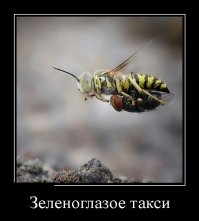 Опять подборочка девотиваторов