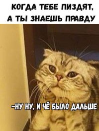 Смешные картинки с надписями