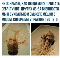 Смешные комментарии и высказывания из социальных сетей