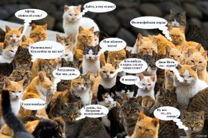 А вот тс тебе за книги. Ну и лови шпалу.