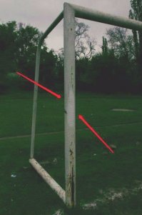 А это мэр Днепропетровска на субботнике. Все политики одинаковы.