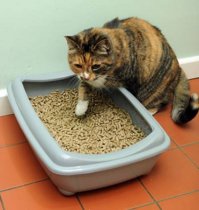 Самое главное забыли.