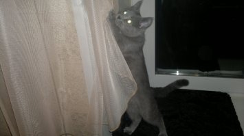 на мою похож/жа