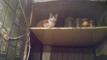 Как у тебя банки не поскидывали.Мои уже бы оприходывали