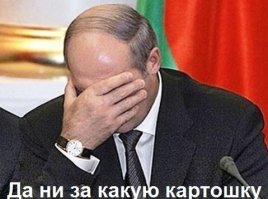 Ударный выходной: Лукашенко с сыном за день собрали 105 тонн картофеля