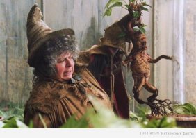 По ходу эти твари таки существуют))