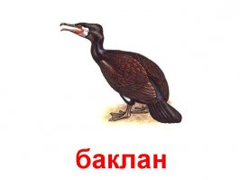 Яндекс баклана подругому рисует.. =/