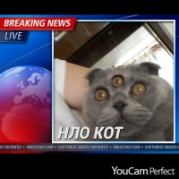 у меня дочь тоже Бог фотошопа