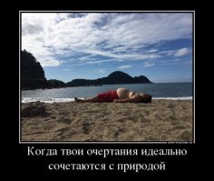 Подборка прикольных картинок