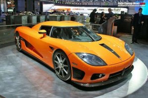 шведская  модель социализма