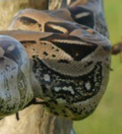 Особенно понравилось вот это: