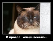 Оригинальный орехокол