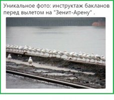 Пенсионерки скинулись на машину гравия и сами починили дорогу