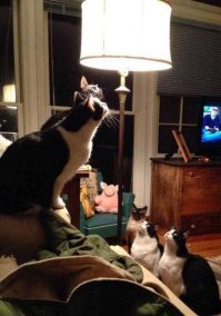 Доходчиво объяснили