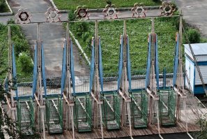 Клетки - самые веселые качели. В одного не раскачаешь, тока с дружбанами :)