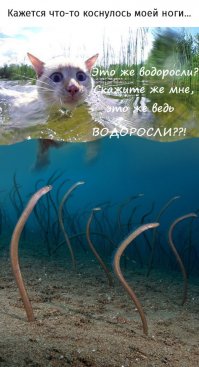 Или так: