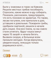 "Это Валет жизни радуется!" (Белые Росы)