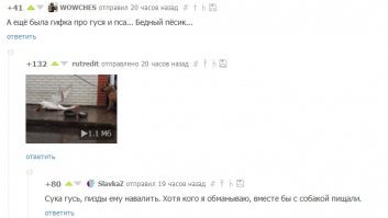 Cмешные комментарии из социальных сетей