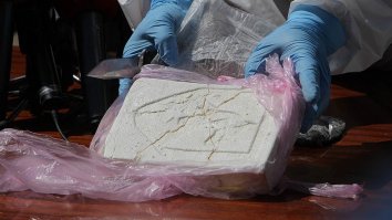 2.7 кг наркоты не заметила, бедолага. Действительно, как можно такую мелочь углядеть в чемодане. 
2 кг. кокаина: