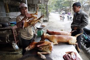 В Мытищах вконец уже оборзели....