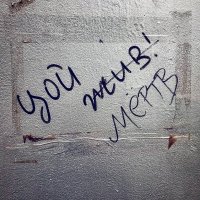 Не верьте - Цой жив!