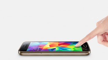 погладь свинью...