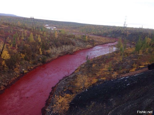 Жизнь за 69 параллелью: лунные пейзажи Норильска