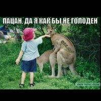 Подборка высказываний, комментов, открыток и цитат из соцсетей