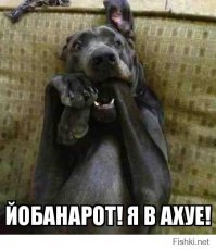 Настолько очевидный пост, что даже Капитан Очевидность этого не отрицает