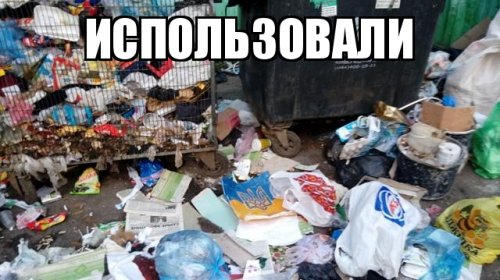 Политические коментарии соцсетей - 202