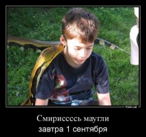 10 самых необычных школ мира