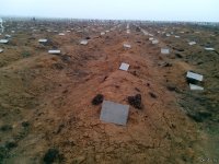 К чему ты это пукнул в теме юмора. 

И причем здесь Шойгу? Фото сделано под Донецком, конечно, там добровольцев со всего мира хватает. Фантазии кастрюлек про армию РФ на Донбассе уже даже лучшие друзья - весьмирснами не хавают.  

Но ты радуйся, у великой Украинской армии все намного солиднее и приличнее. Они-то о своих боевых потерях заботятся. А вот это к сожалению не фейк, а чистая правда. 
Недалеко от ОДессы: