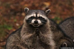 А она только возврат забрать! А в первую очередь встали ещё трое!)))