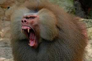 Подборка прикольных картинок