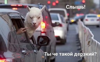 Подборка автомобильных приколов