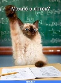 1 сентября:  день родительской депрессии длиной в учебный год