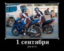 Водитель Porsche устроил заезд на газоне перед МГУ