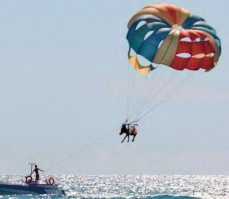 доведут до ручки