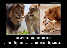 Озабоченность до добра не доведет.