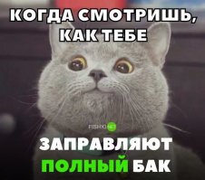 А в кармане пара тыщ и думаешь, хватит или нет...