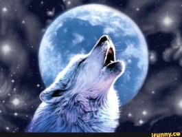 Графический дизайнер создает карты стран, которых не существует